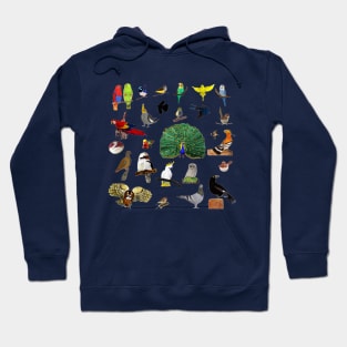 Bird Collage Hoodie